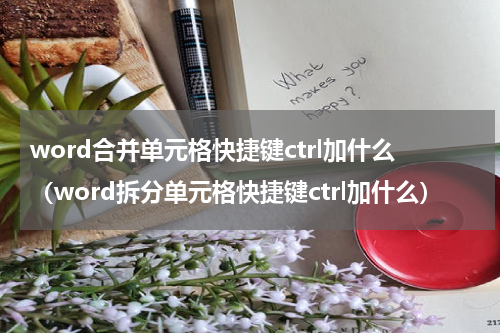 word合并单元格快捷键ctrl加什么（word拆分单元格快捷键ctrl加什么）