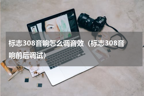 标志308音响怎么调音效（标志308音响前后调试）