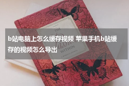 b站电脑上怎么缓存视频 苹果手机b站缓存的视频怎么导出