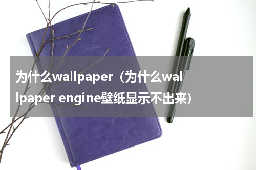 为什么wallpaper（为什么wallpaper engine壁纸显示不出来）