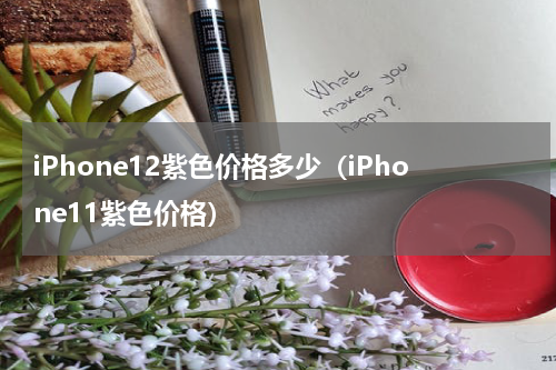 iPhone12紫色价格多少（iPhone11紫色价格）