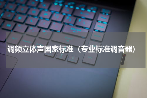 调频立体声国家标准（专业标准调音器）