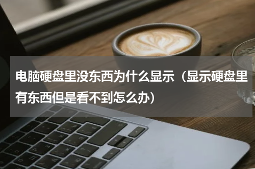 电脑硬盘里没东西为什么显示（显示硬盘里有东西但是看不到怎么办）