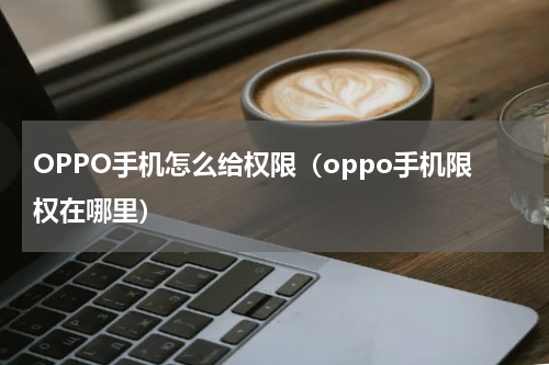 OPPO手机怎么给权限（oppo手机限权在哪里）
