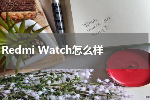 Redmi Watch怎么样