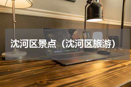 沈河区景点（沈河区旅游）