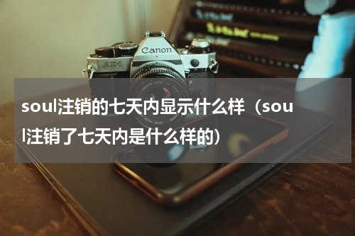 soul注销的七天内显示什么样（soul注销了七天内是什么样的）