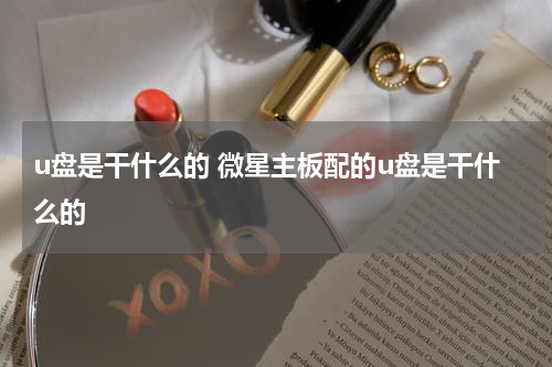 u盘是干什么的 微星主板配的u盘是干什么的