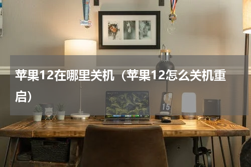 苹果12在哪里关机（苹果12怎么关机重启）