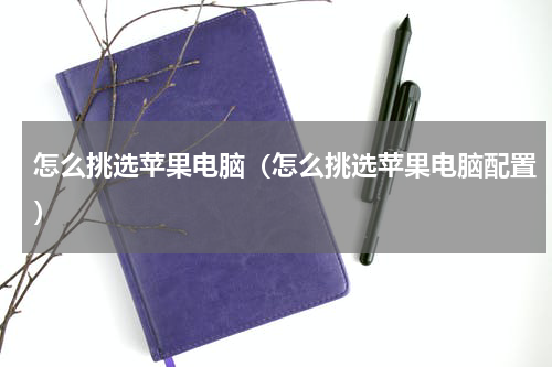 怎么挑选苹果电脑（怎么挑选苹果电脑配置）