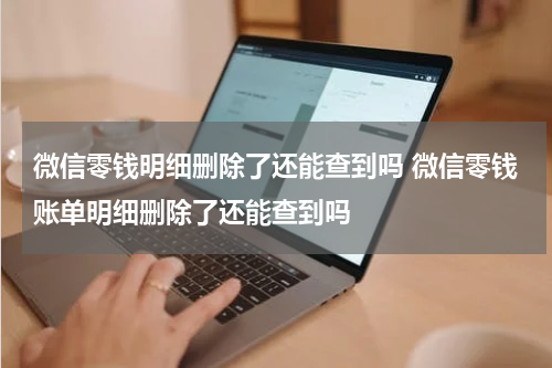 微信零钱明细删除了还能查到吗 微信零钱账单明细删除了还能查到吗