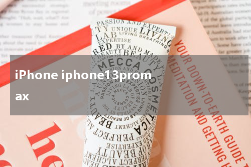 iPhone iphone13promax