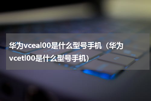 华为vceal00是什么型号手机（华为vcetl00是什么型号手机）