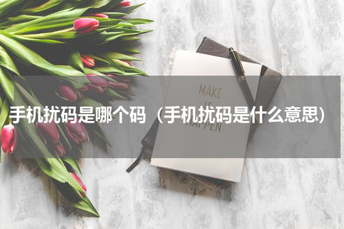 手机扰码是哪个码（手机扰码是什么意思）