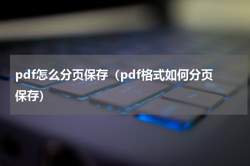 pdf怎么分页保存（pdf格式如何分页保存）