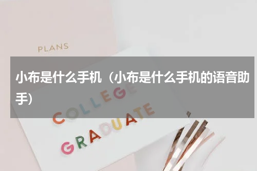 小布是什么手机（小布是什么手机的语音助手）