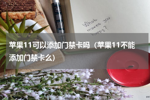 苹果11可以添加门禁卡吗（苹果11不能添加门禁卡么）