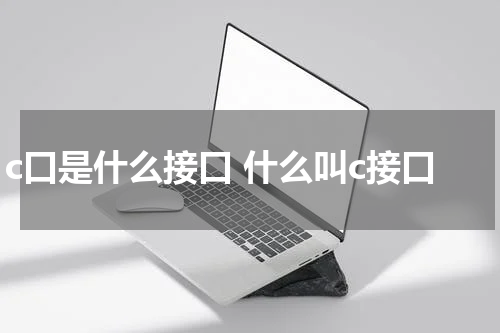 c口是什么接口 什么叫c接口