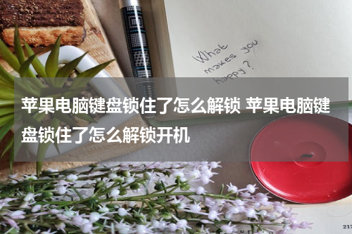 苹果电脑键盘锁住了怎么解锁 苹果电脑键盘锁住了怎么解锁开机