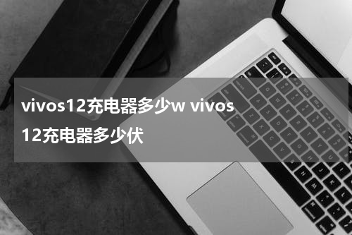 vivos12充电器多少w vivos12充电器多少伏