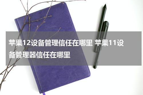 苹果12设备管理信任在哪里 苹果11设备管理器信任在哪里