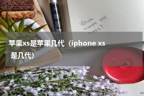 苹果xs是苹果几代（iphone xs 是几代）