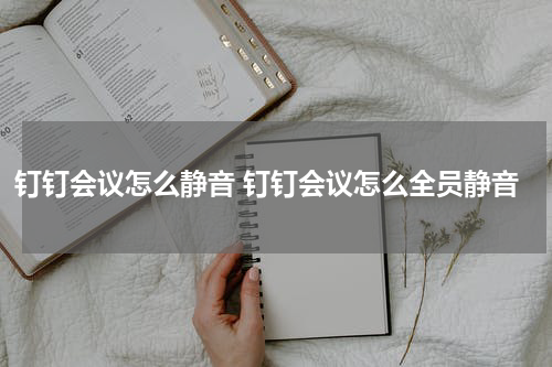 钉钉会议怎么静音 钉钉会议怎么全员静音