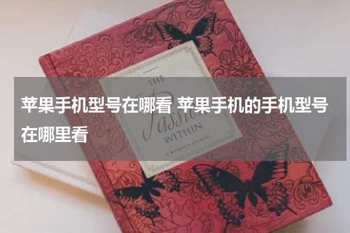 苹果手机型号在哪看 苹果手机的手机型号在哪里看