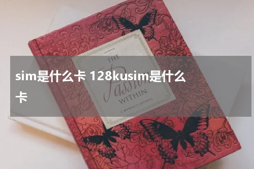 sim是什么卡 128kusim是什么卡