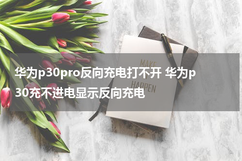 华为p30pro反向充电打不开 华为p30充不进电显示反向充电