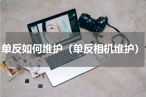 单反如何维护（单反相机维护）