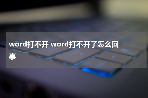 word打不开 word打不开了怎么回事