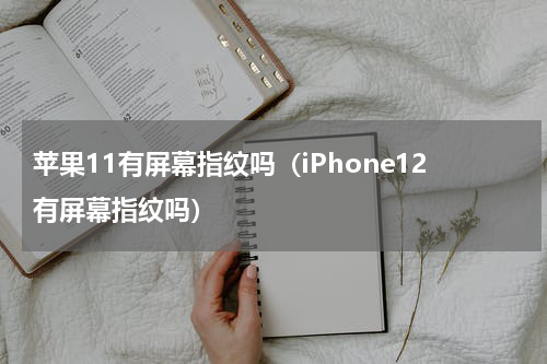 苹果11有屏幕指纹吗（iPhone12有屏幕指纹吗）