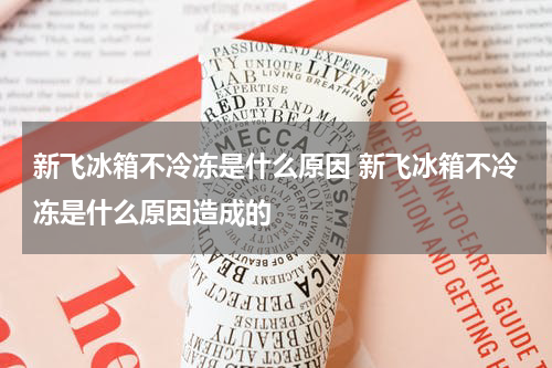 新飞冰箱不冷冻是什么原因 新飞冰箱不冷冻是什么原因造成的
