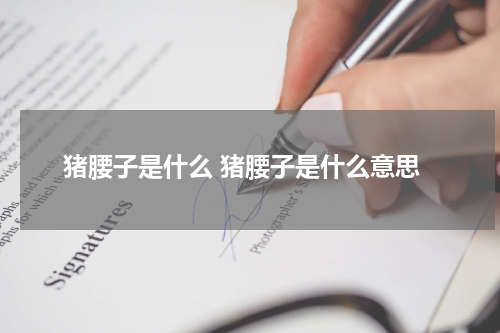 猪腰子是什么 猪腰子是什么意思