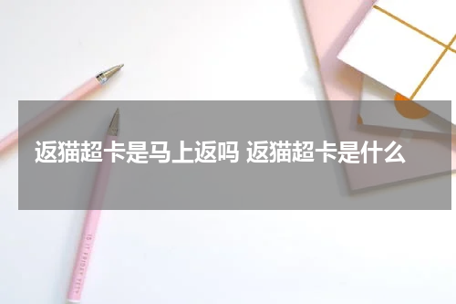 返猫超卡是马上返吗 返猫超卡是什么
