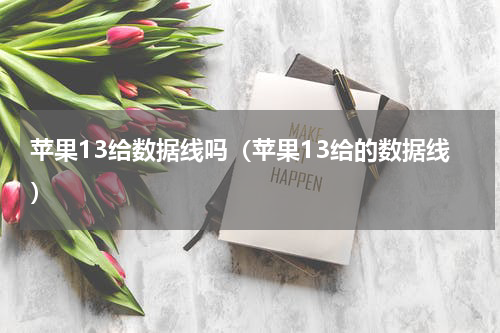 苹果13给数据线吗（苹果13给的数据线）