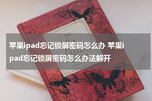 苹果ipad忘记锁屏密码怎么办 苹果ipad忘记锁屏密码怎么办法解开