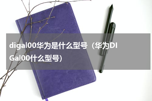 digal00华为是什么型号（华为DIGal00什么型号）