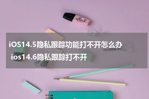 iOS14.5隐私跟踪功能打不开怎么办 ios14.6隐私跟踪打不开