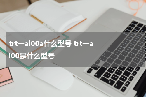 trt一al00a什么型号 trt一al00是什么型号