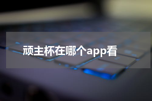 顽主杯在哪个app看