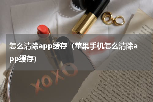 怎么清除app缓存（苹果手机怎么清除app缓存）