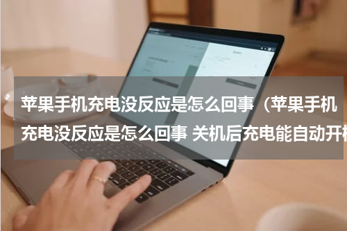 苹果手机充电没反应是怎么回事（苹果手机充电没反应是怎么回事 关机后充电能自动开机）