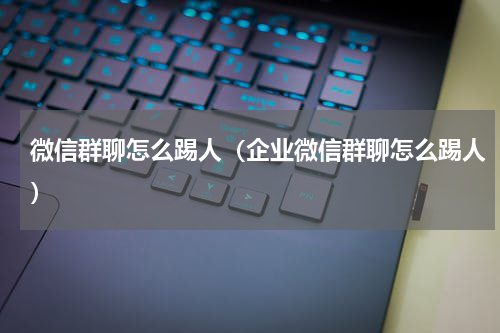微信群聊怎么踢人（企业微信群聊怎么踢人）