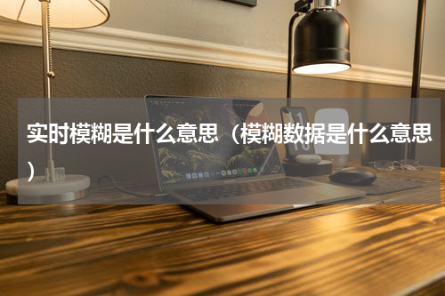 实时模糊是什么意思（模糊数据是什么意思）