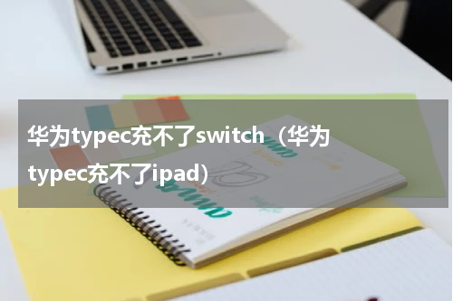 华为typec充不了switch（华为typec充不了ipad）