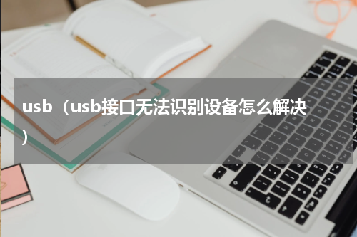 usb（usb接口无法识别设备怎么解决）