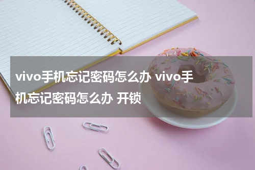 vivo手机忘记密码怎么办 vivo手机忘记密码怎么办 开锁