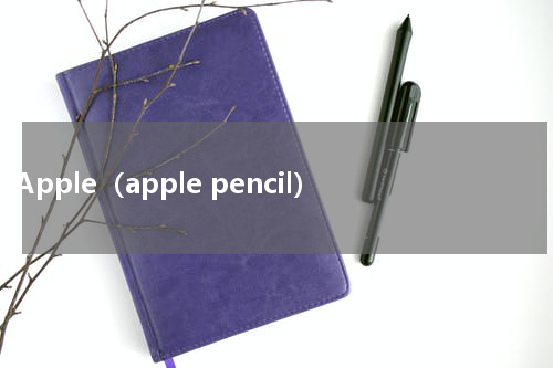 Apple（apple pencil）